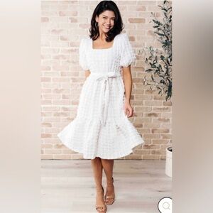 NWT Pologram Dress Sz. L cute!